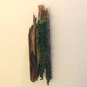 Driftwood Decor